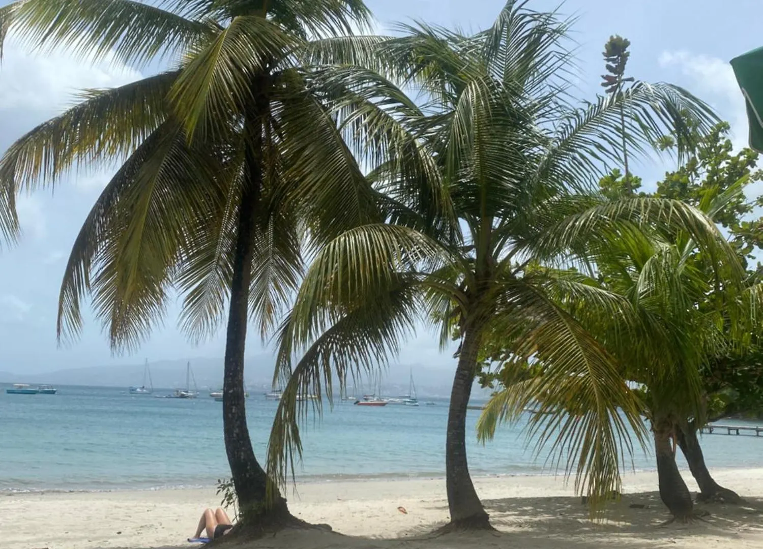 Appartement en résidence 50m plage Les Trois-Ilets Hébergement de vacances